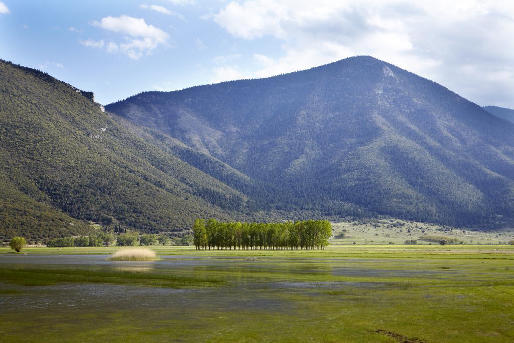 Hyades Mountain Resort Kato Sinikia Trikalon Exterior foto