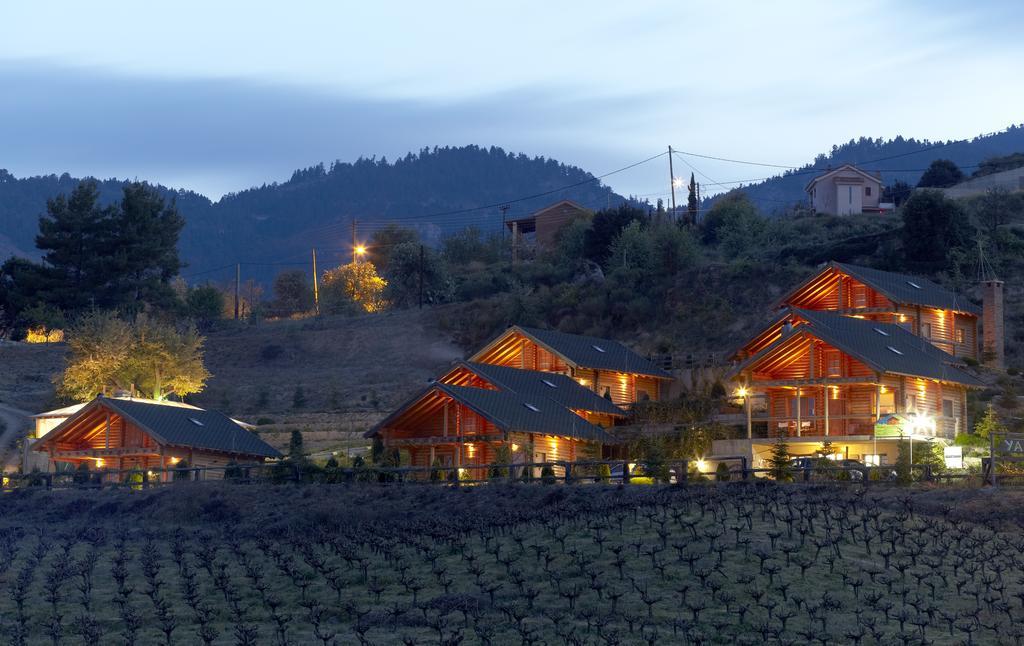 Hyades Mountain Resort Kato Sinikia Trikalon Exterior foto